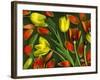 Colorful Tulips Isolated Against Green Background-Christian Slanec-Framed Photographic Print