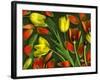 Colorful Tulips Isolated Against Green Background-Christian Slanec-Framed Photographic Print