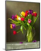 Colorful Tulips Still Life-null-Mounted Art Print