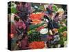 Colorful Vegetable Market in Chichicastenango, Guatemala-Keren Su-Stretched Canvas