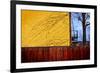 Colorful View in Brooklyn New York-null-Framed Photo