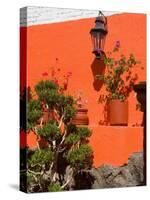 Colorful Wall with Lantern and Potted Plants, Guanajuato, Mexico-Julie Eggers-Stretched Canvas