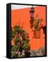 Colorful Wall with Lantern and Potted Plants, Guanajuato, Mexico-Julie Eggers-Framed Stretched Canvas