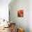 Colorful Wall with Lantern and Potted Plants, Guanajuato, Mexico-Julie Eggers-Photographic Print displayed on a wall