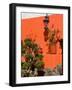 Colorful Wall with Lantern and Potted Plants, Guanajuato, Mexico-Julie Eggers-Framed Photographic Print