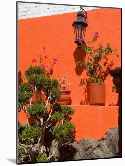 Colorful Wall with Lantern and Potted Plants, Guanajuato, Mexico-Julie Eggers-Mounted Photographic Print