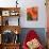 Colorful Wall with Lantern and Potted Plants, Guanajuato, Mexico-Julie Eggers-Photographic Print displayed on a wall