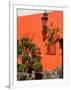 Colorful Wall with Lantern and Potted Plants, Guanajuato, Mexico-Julie Eggers-Framed Photographic Print