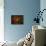 Colorful Way-Philippe Sainte-Laudy-Framed Stretched Canvas displayed on a wall
