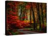Colorful Way-Philippe Sainte-Laudy-Stretched Canvas