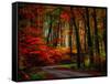 Colorful Way-Philippe Sainte-Laudy-Framed Stretched Canvas