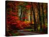 Colorful Way-Philippe Sainte-Laudy-Stretched Canvas