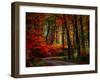 Colorful Way-Philippe Sainte-Laudy-Framed Photographic Print