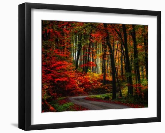 Colorful Way-Philippe Sainte-Laudy-Framed Photographic Print