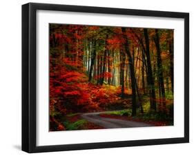 Colorful Way-Philippe Sainte-Laudy-Framed Photographic Print