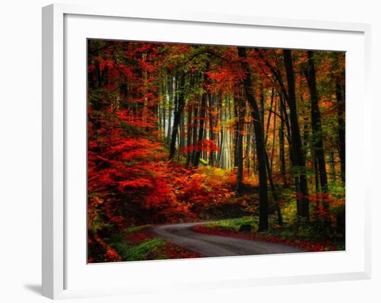 Colorful Way-Philippe Sainte-Laudy-Framed Photographic Print