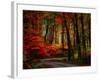 Colorful Way-Philippe Sainte-Laudy-Framed Photographic Print