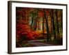 Colorful Way-Philippe Sainte-Laudy-Framed Photographic Print