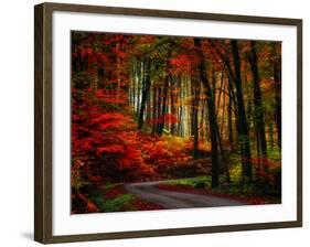 Colorful Way-Philippe Sainte-Laudy-Framed Photographic Print