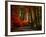 Colorful Way-Philippe Sainte-Laudy-Framed Photographic Print