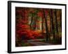Colorful Way-Philippe Sainte-Laudy-Framed Photographic Print
