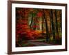 Colorful Way-Philippe Sainte-Laudy-Framed Photographic Print