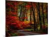 Colorful Way-Philippe Sainte-Laudy-Mounted Photographic Print