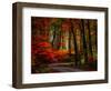 Colorful Way-Philippe Sainte-Laudy-Framed Premium Photographic Print