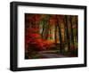 Colorful Way-Philippe Sainte-Laudy-Framed Premium Photographic Print