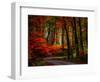 Colorful Way-Philippe Sainte-Laudy-Framed Premium Photographic Print