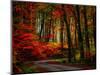 Colorful Way-Philippe Sainte-Laudy-Mounted Premium Photographic Print