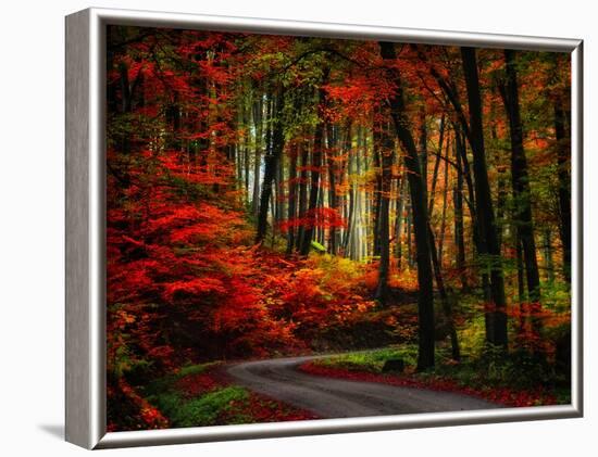 Colorful Way-Philippe Sainte-Laudy-Framed Photographic Print