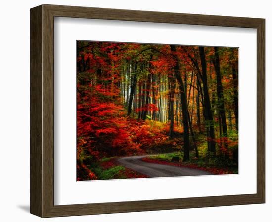 Colorful Way-Philippe Sainte-Laudy-Framed Photographic Print