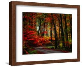 Colorful Way-Philippe Sainte-Laudy-Framed Photographic Print