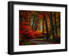 Colorful Way-Philippe Sainte-Laudy-Framed Photographic Print