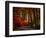 Colorful Way-Philippe Sainte-Laudy-Framed Photographic Print