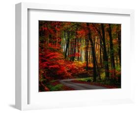 Colorful Way-Philippe Sainte-Laudy-Framed Photographic Print