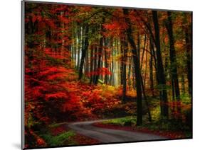 Colorful Way-Philippe Sainte-Laudy-Mounted Photographic Print