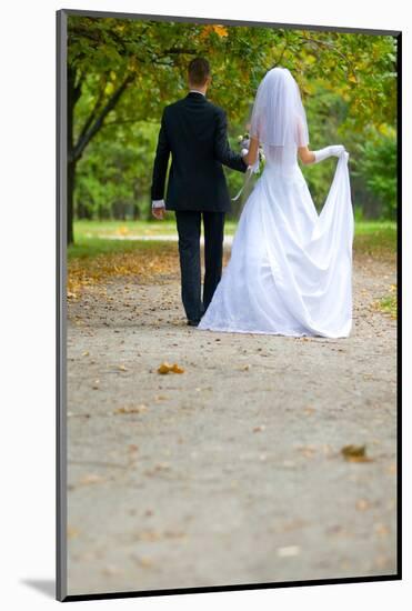 Colorful Wedding Shot of Bride and Groom-PH.OK-Mounted Photographic Print