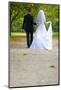 Colorful Wedding Shot of Bride and Groom-PH.OK-Mounted Photographic Print