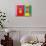 Colorful Windows and Details on A Colonial House in Little India, Singapore-platongkoh-Mounted Photographic Print displayed on a wall