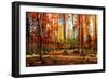 Colorful World-Philippe Sainte-Laudy-Framed Photographic Print