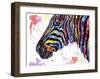 Colorful Zebra (Variant 1)-Sarah Stribbling-Framed Giclee Print