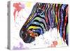 Colorful Zebra (Variant 1)-Sarah Stribbling-Stretched Canvas