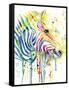 Colorful Zebra-Jin Jing-Framed Stretched Canvas