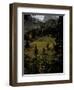 Colorfull Fall Landscape, Colorado-Michael Brown-Framed Photographic Print