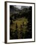 Colorfull Fall Landscape, Colorado-Michael Brown-Framed Photographic Print