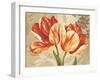 Colori II-Pamela Gladding-Framed Art Print