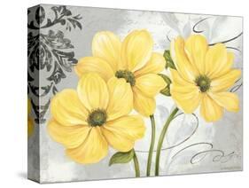 Colori Yellow I-Pamela Gladding-Stretched Canvas