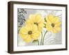 Colori Yellow I-Pamela Gladding-Framed Art Print